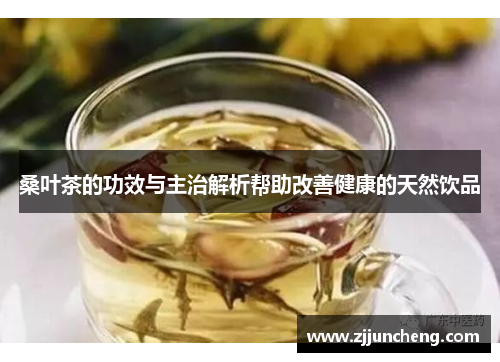 桑叶茶的功效与主治解析帮助改善健康的天然饮品